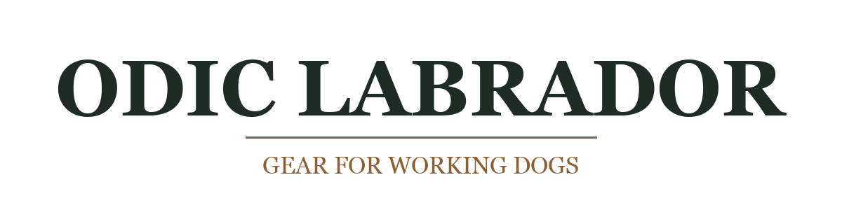 Odic Labrador